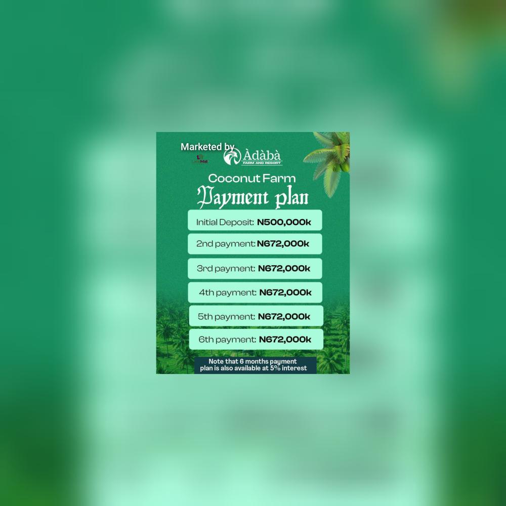 Finally, the arrival of the first Highbrid coconut farm in nigeria is here, Àdàbà (Dove)‼️🥥*