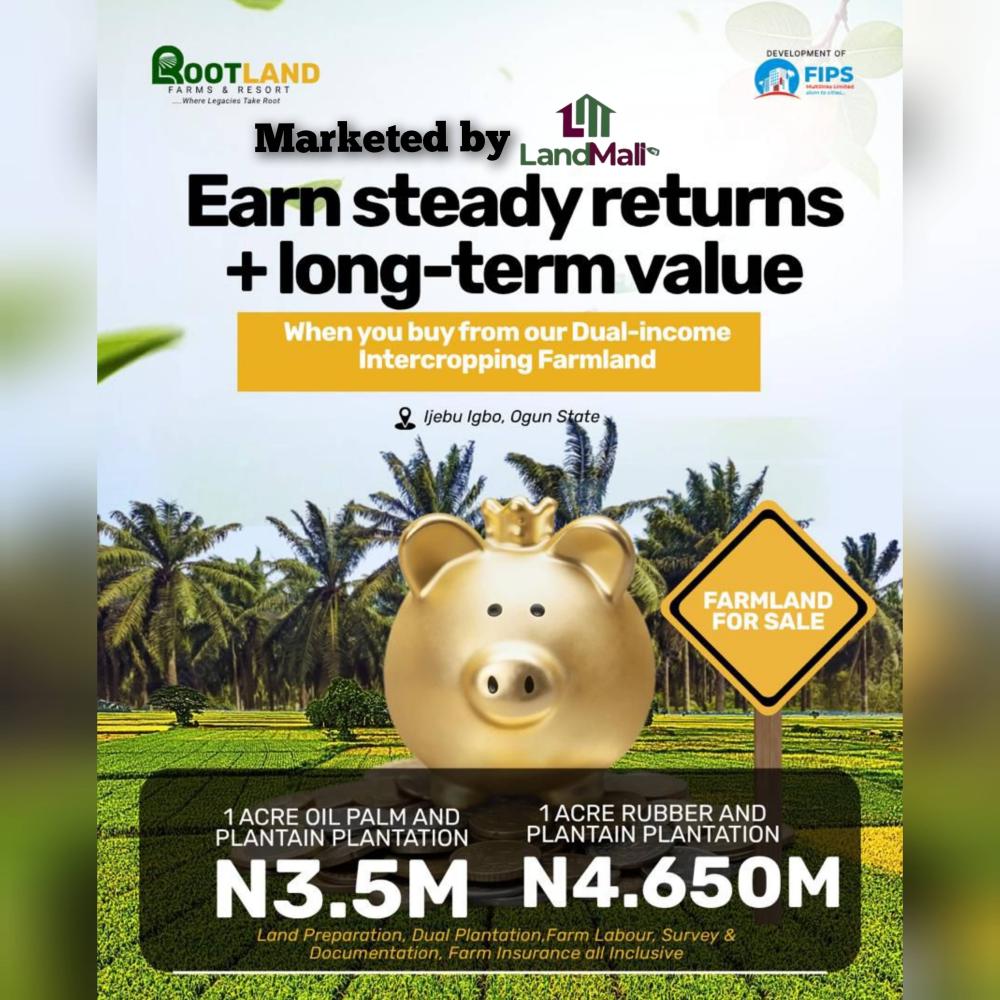 1 Acre Dry Land Available for SALE at Ijebu Igbo, Ogun State.