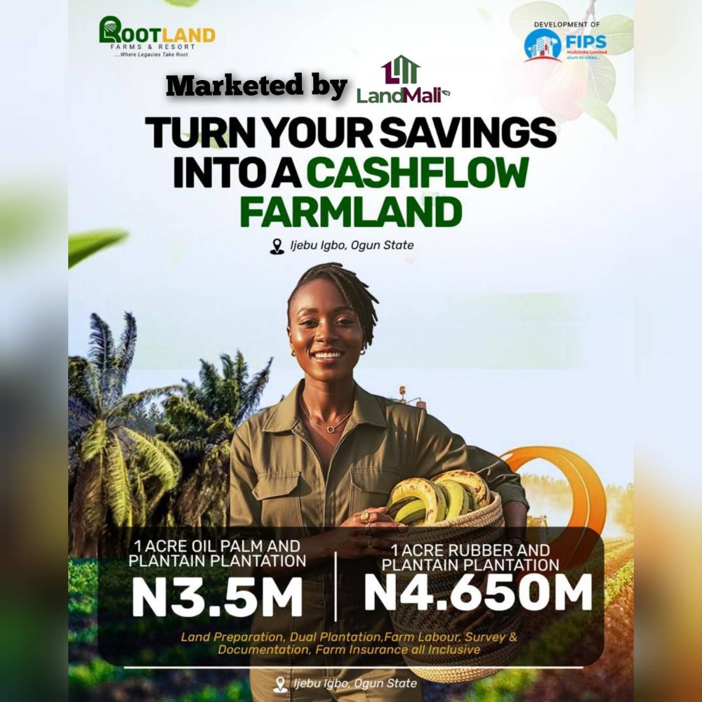 1 Acre Dry Land Available for SALE at Ijebu Igbo, Ogun State.