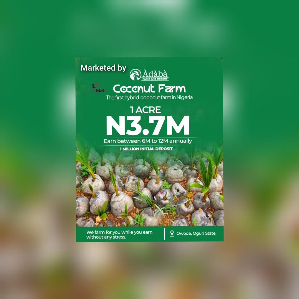 Àdàbà Coconut Farm Where Nature Meets Wealth*! 🌴