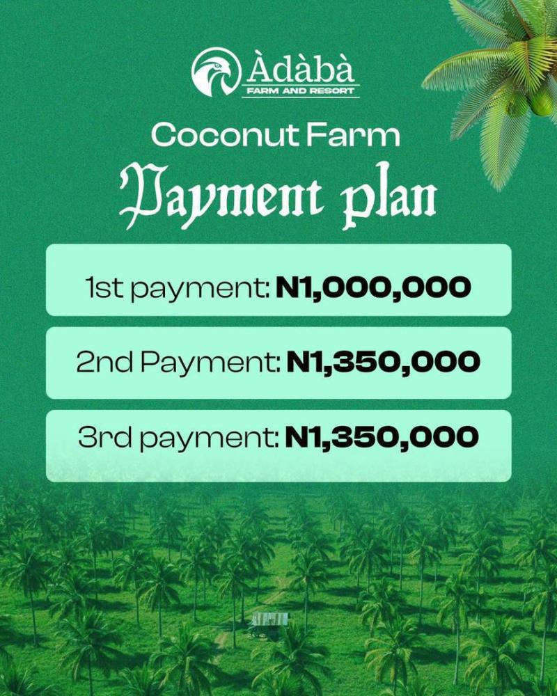 Finally, the arrival of the first Highbrid coconut farm in nigeria is here, Àdàbà (Dove)‼️🥥*