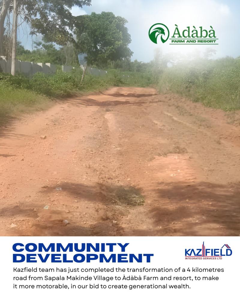 ÀDÀBÀ COCONUT FARM — YOUR 2025 MONEY MACHINE IS HERE*! 🌴🔥