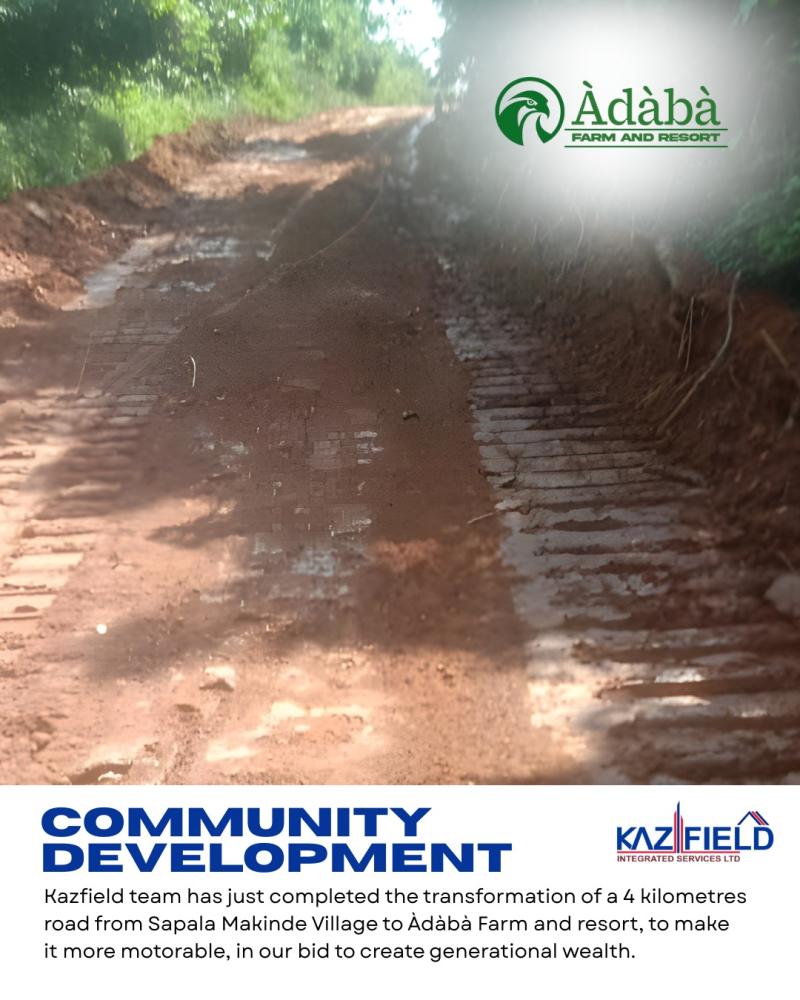 ÀDÀBÀ COCONUT FARM — YOUR 2025 MONEY MACHINE IS HERE*! 🌴🔥