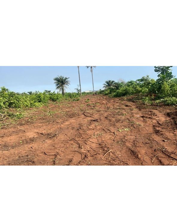 Land at Igbesa