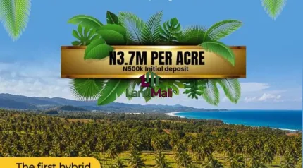 Coconuts is fast becoming one of Nigeria’s most profitable cash crops used for oil, water, milk, cosmetics, food, and export. 🇳🇬