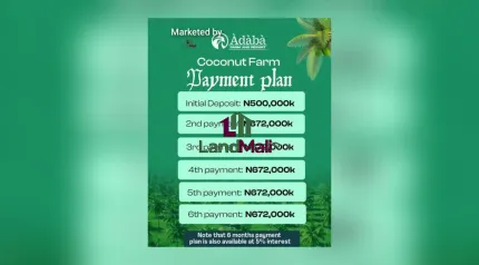 Finally, the arrival of the first Highbrid coconut farm in nigeria is here, Àdàbà (Dove)‼️🥥*