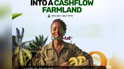 1 Acre Dry Land Available for SALE at Ijebu Igbo, Ogun State.