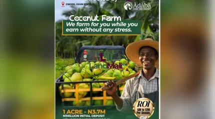 ÀDÀBÀ COCONUT FARM — YOUR 2025 MONEY MACHINE IS HERE*! 🌴🔥