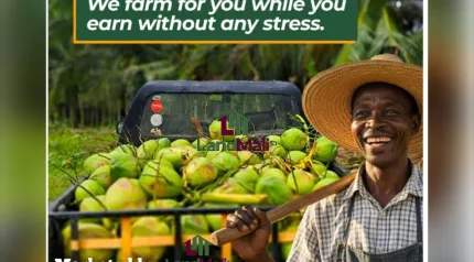 1 ACRE DRY FARM LAND LOCATED AT OWODE, OGUN STATE.