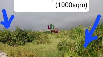 Land size 1000sqm 