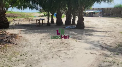 Dry land for sale in banana island.