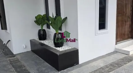 Outside. with beautiful flower pot