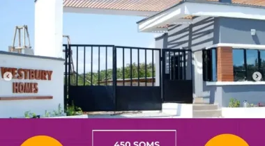  buy property in nigeria, real estate nigeria, apartments for rent nigeria, houses for sale nigeria, invest in nigeria real estate, property for sale lagos nigeria, property management companies in nigeria, buy land in nigeria, affordable housing nigeria, luxury apartments nigeria, apartments for rent lagos, houses for sale abuja, buy land in lekki, commercial property for rent victoria island, luxury apartments lagos, studio apartments for rent nigeria, 2 be