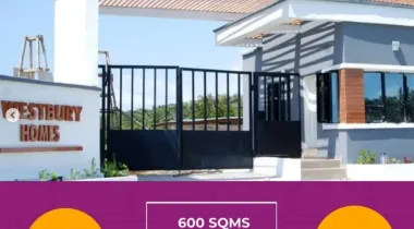  buy property in nigeria, real estate nigeria, apartments for rent nigeria, houses for sale nigeria, invest in nigeria real estate, property for sale lagos nigeria, property management companies in nigeria, buy land in nigeria, affordable housing nigeria, luxury apartments nigeria, apartments for rent lagos, houses for sale abuja, buy land in lekki, commercial property for rent victoria island, luxury apartments lagos, studio apartments for rent nigeria, 2 be