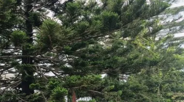 FOR  LONG LEASE.   Location:   Victoria Island  A 5 bedroom semi detached house with bq on sitting on 1200 SQM