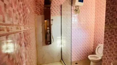 Brand New  Mini Flat