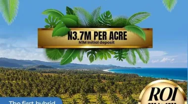 Finally, the arrival of the first Highbrid coconut farm in nigeria is here, Àdàbà (Dove)‼️🥥*