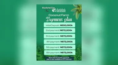 Finally, the arrival of the first Highbrid coconut farm in nigeria is here, Àdàbà (Dove)‼️🥥*
