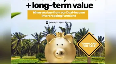 1 Acre Dry Land Available for SALE at Ijebu Igbo, Ogun State.