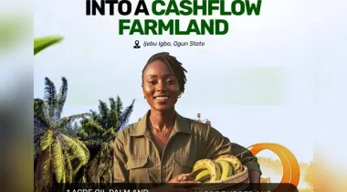 1 Acre Dry Land Available for SALE at Ijebu Igbo, Ogun State.