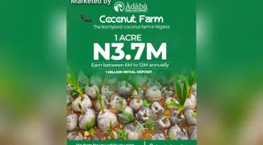 Àdàbà Coconut Farm Where Nature Meets Wealth*! 🌴