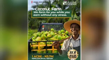 ÀDÀBÀ COCONUT FARM — YOUR 2025 MONEY MACHINE IS HERE*! 🌴🔥