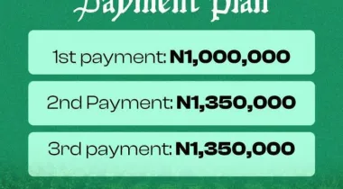 Finally, the arrival of the first Highbrid coconut farm in nigeria is here, Àdàbà (Dove)‼️🥥*