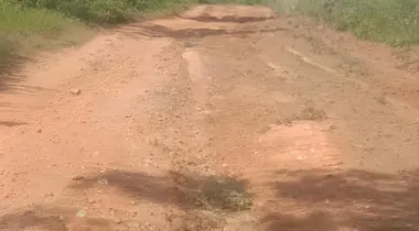 ÀDÀBÀ COCONUT FARM — YOUR 2025 MONEY MACHINE IS HERE*! 🌴🔥