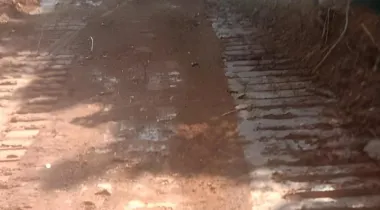 ÀDÀBÀ COCONUT FARM — YOUR 2025 MONEY MACHINE IS HERE*! 🌴🔥