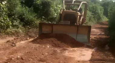 ÀDÀBÀ COCONUT FARM — YOUR 2025 MONEY MACHINE IS HERE*! 🌴🔥