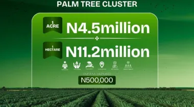 Aroko Farm &amp; Resort Ado-Awaye, Oyo Reopened!*