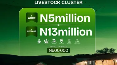 Aroko Farm &amp; Resort Ado-Awaye, Oyo Reopened!*