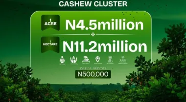 Aroko Farm &amp; Resort Ado-Awaye, Oyo Reopened!*