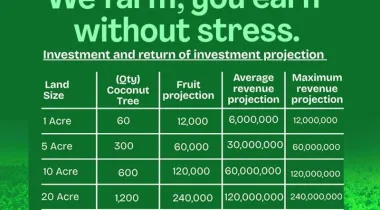 1 ACRE DRY FARM LAND LOCATED AT OWODE, OGUN STATE.