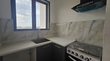 1 Bedroom Apartment With Swimming Pool And Gym  Available For RENT Located in Ikate, Lekki.