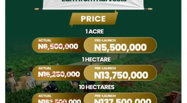 Welcome to Nova Palm City, a structured, professionally managed agricultural investment designed for individuals who want real assets, real production, and long-term income growth