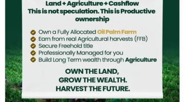 Welcome to Nova Palm City, a structured, professionally managed agricultural investment designed for individuals who want real assets, real production, and long-term income growth