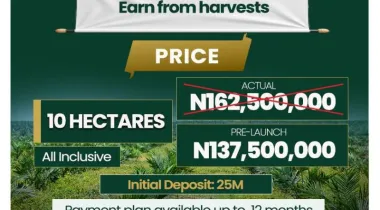 Welcome to Nova Palm City, a structured, professionally managed agricultural investment designed for individuals who want real assets, real production, and long-term income growth