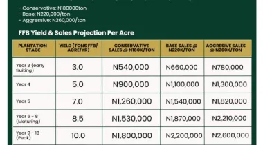 Welcome to Nova Palm City, a structured, professionally managed agricultural investment designed for individuals who want real assets, real production, and long-term income growth