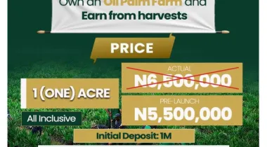 Welcome to Nova Palm City, a structured, professionally managed agricultural investment designed for individuals who want real assets, real production, and long-term income growth