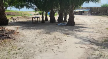 Dry land for sale in banana island.