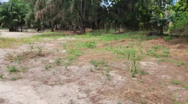 Dry land for sale in banana island.
