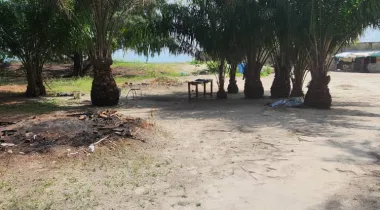 Dry land for sale in banana island.