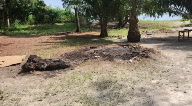 Dry land for sale in banana island.