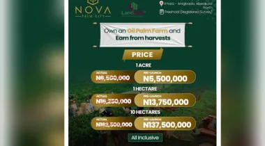 Welcome to Nova Palm City, a structured, professionally managed agricultural investment designed for individuals who want real assets, real production, and long-term income growth