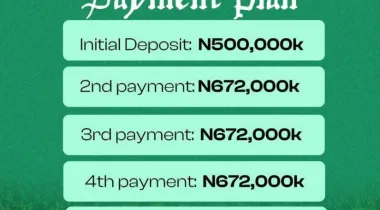 Coconuts is fast becoming one of Nigeria’s most profitable cash crops used for oil, water, milk, cosmetics, food, and export. 🇳🇬