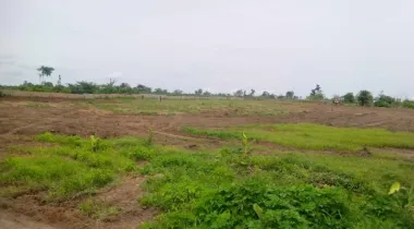 Picture of the land