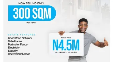 300 Square Meter Of Land For Sale At Alatishe Land Bogije