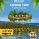 Coconuts is fast becoming one of Nigeria’s most profitable cash crops used for oil, water, milk, cosmetics, food, and export. 🇳🇬