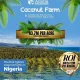 Finally, the arrival of the first Highbrid coconut farm in nigeria is here, Àdàbà (Dove)‼️🥥*